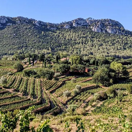 Appartement Escapade à Balcon Verdoyant Et à Deux Pas Bandol